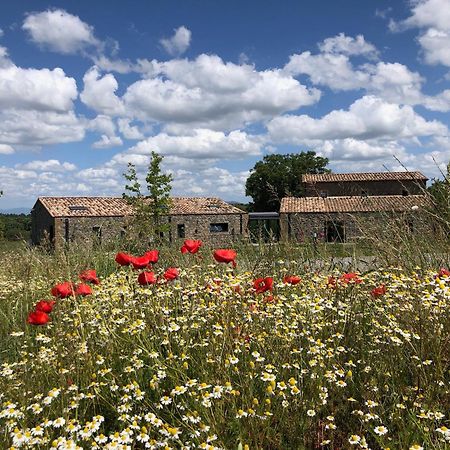 Podere L'Alfina Bio Agriturismo Castel Giorgio Esterno foto