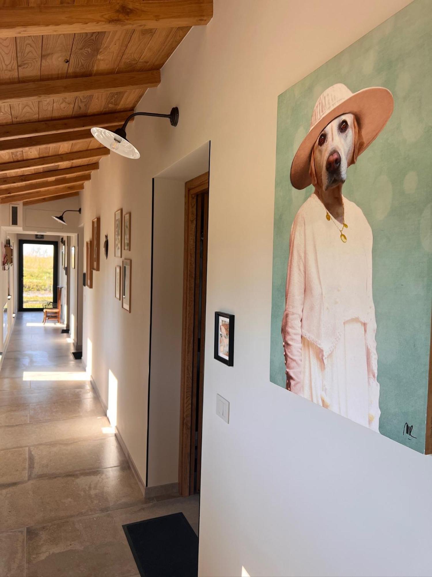 Podere L'Alfina Bio Agriturismo Castel Giorgio Esterno foto