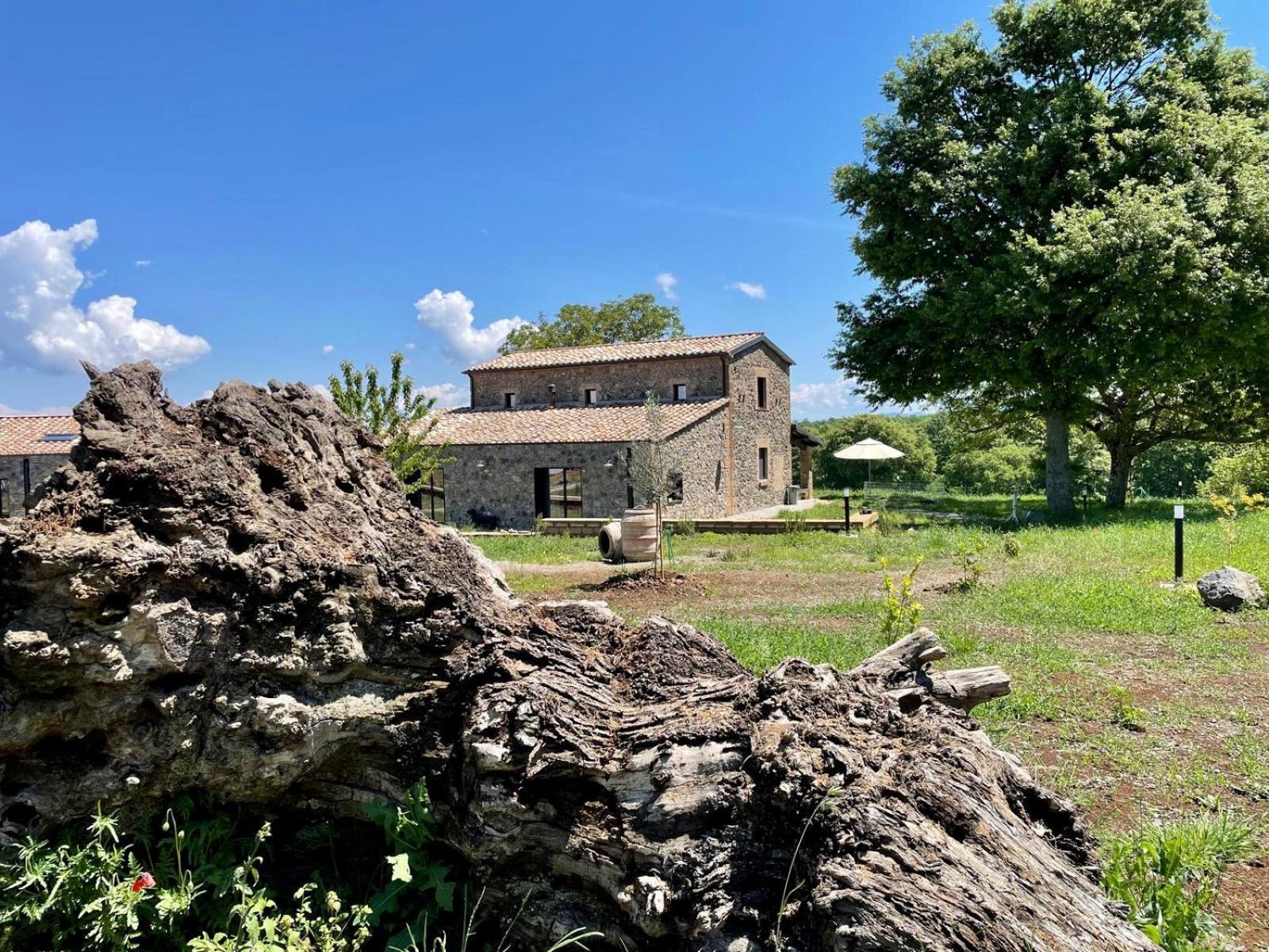 Podere L'Alfina Bio Agriturismo Castel Giorgio Esterno foto