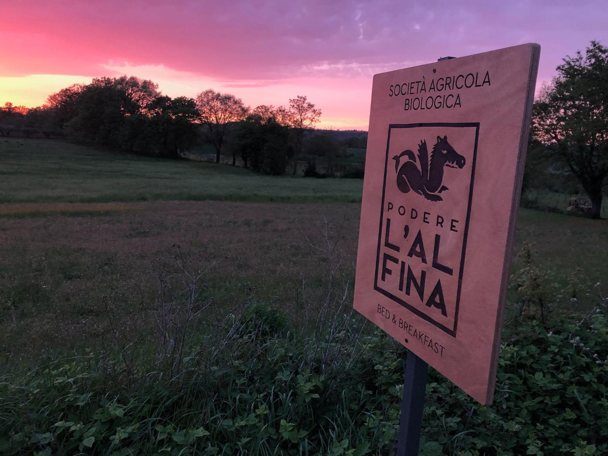 Podere L'Alfina Bio Agriturismo Castel Giorgio Esterno foto