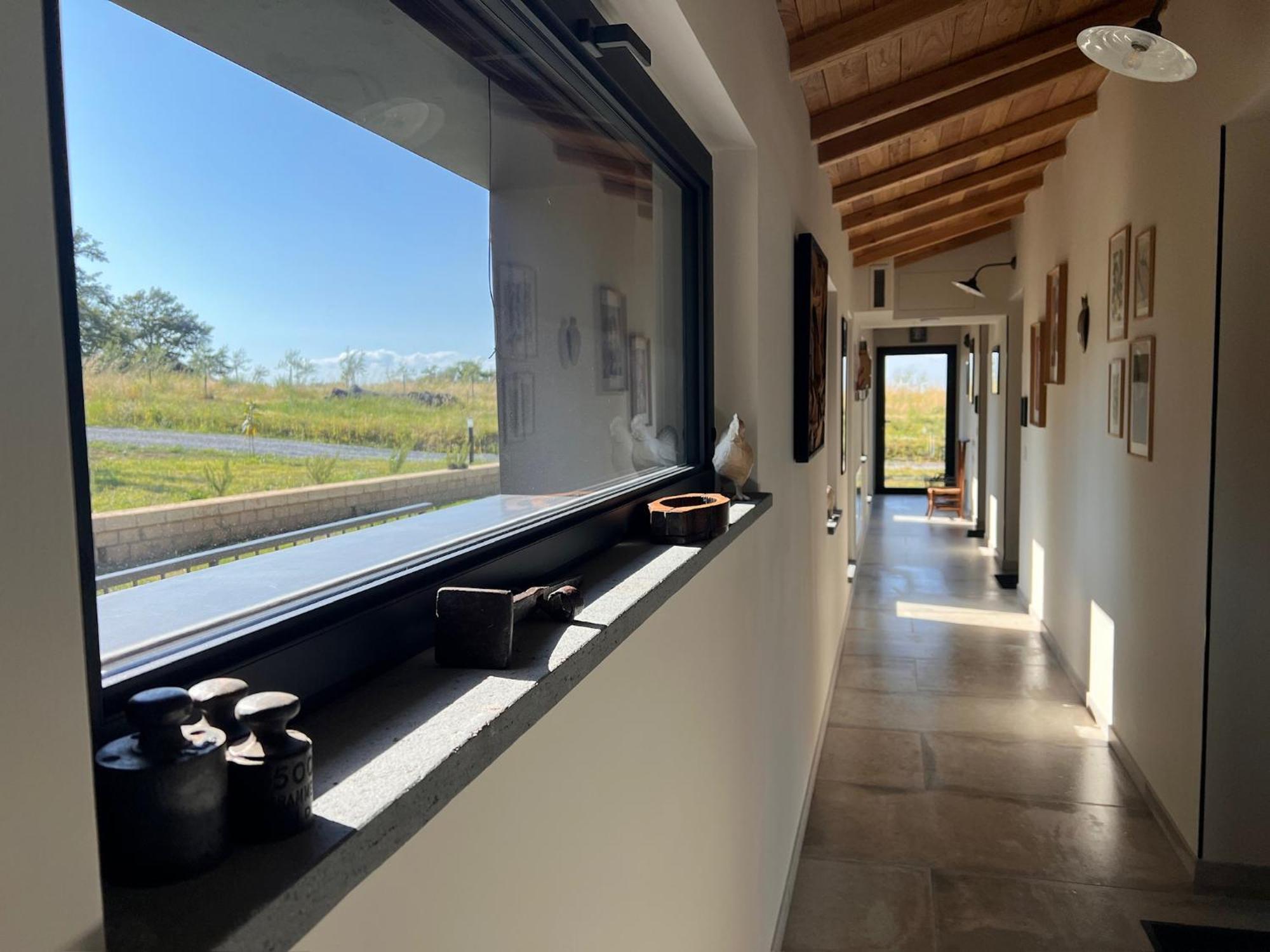 Podere L'Alfina Bio Agriturismo Castel Giorgio Esterno foto
