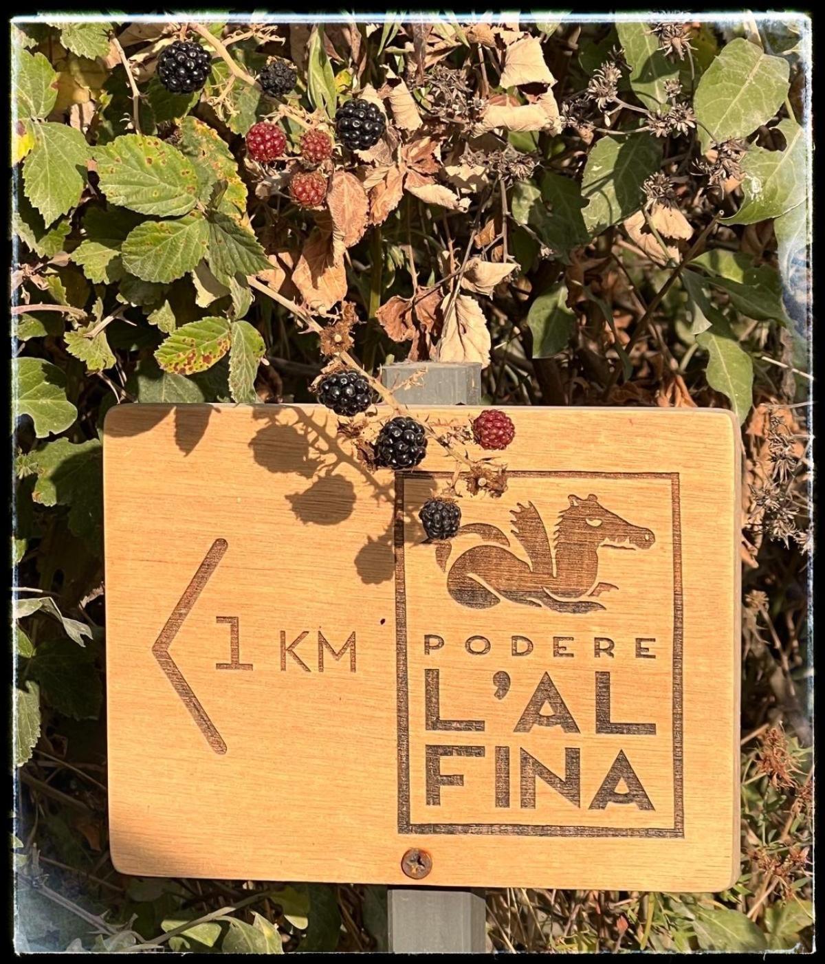 Podere L'Alfina Bio Agriturismo Castel Giorgio Esterno foto