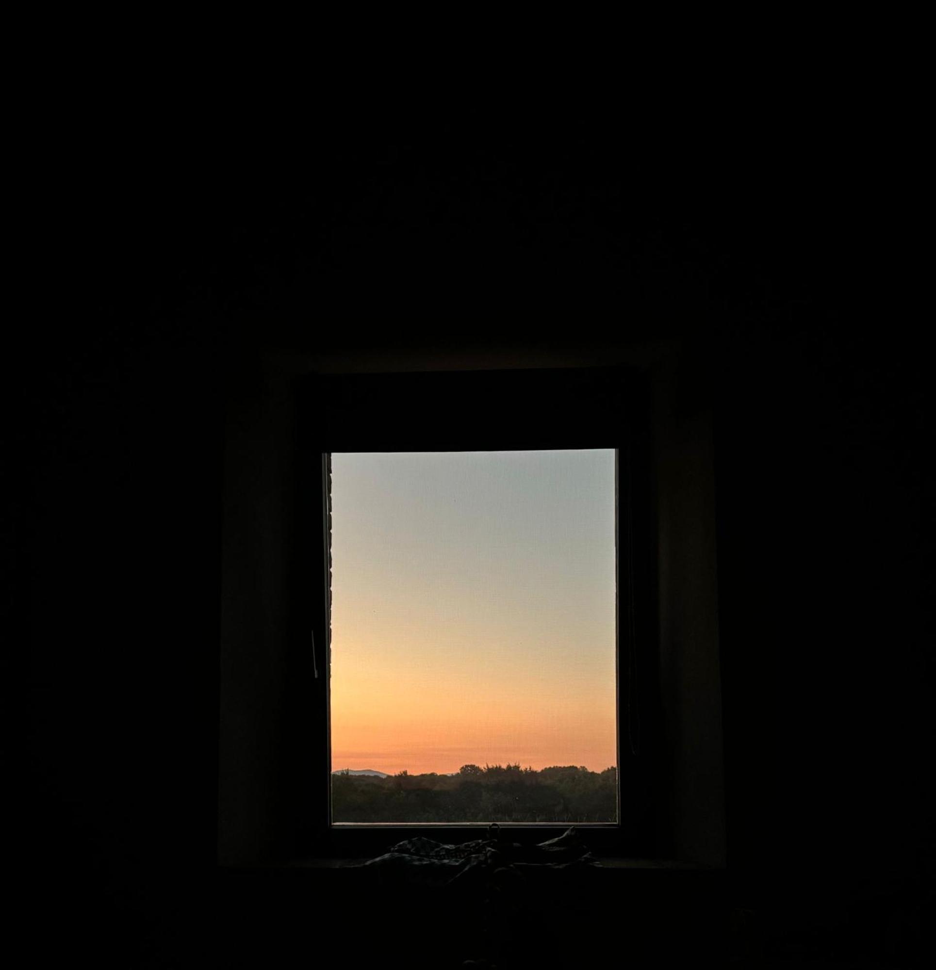 Podere L'Alfina Bio Agriturismo Castel Giorgio Esterno foto