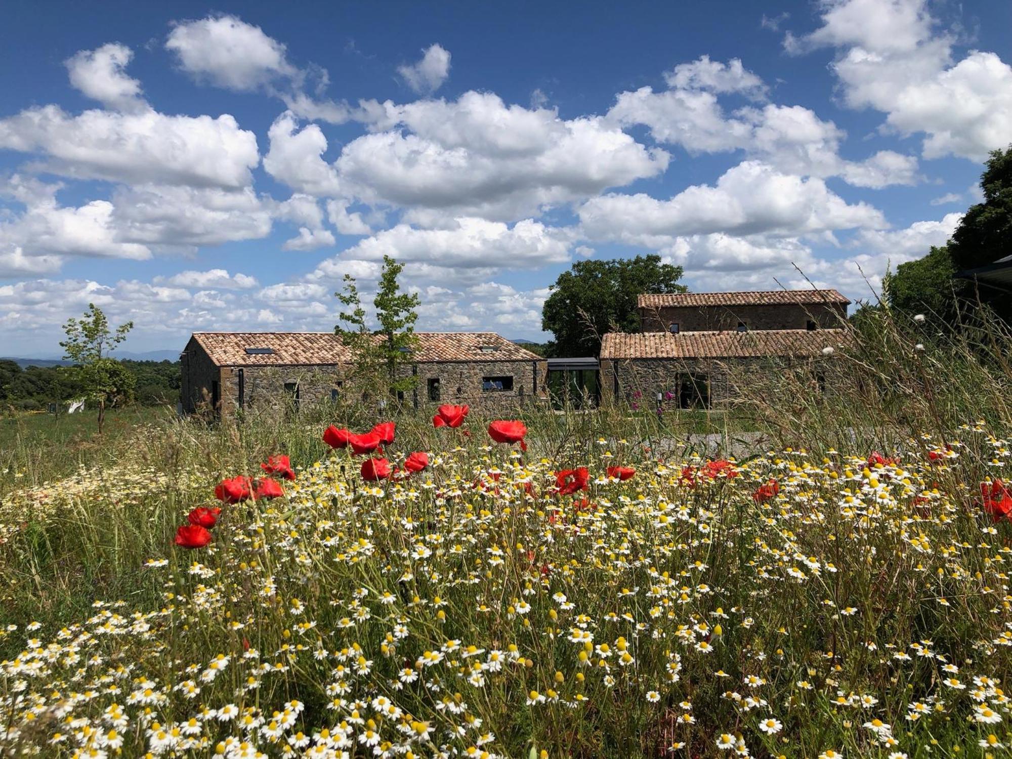 Podere L'Alfina Bio Agriturismo Castel Giorgio Esterno foto