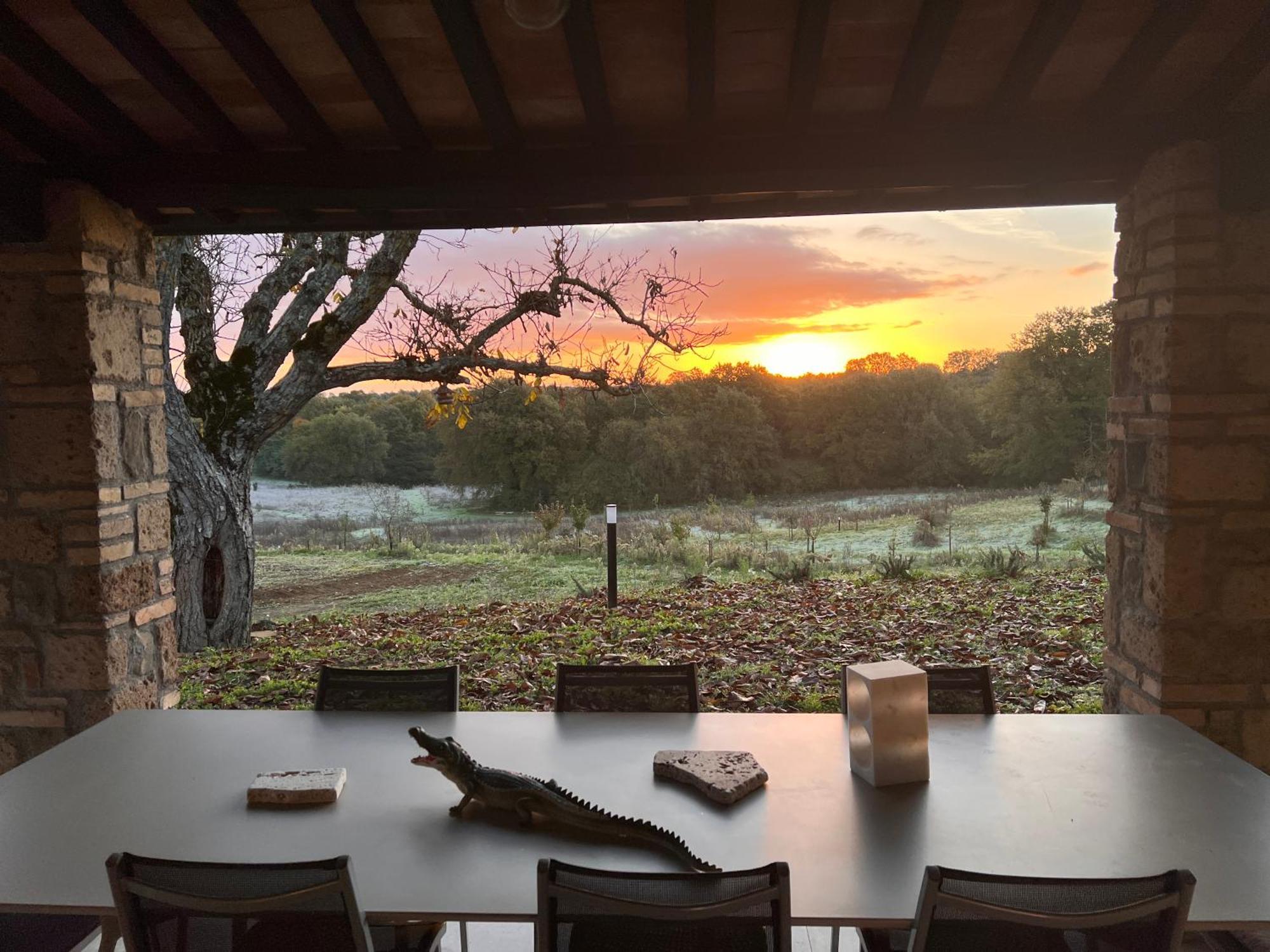 Podere L'Alfina Bio Agriturismo Castel Giorgio Esterno foto